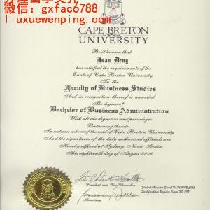 加拿大凯波布兰顿大学