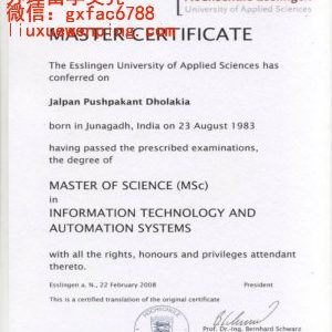 德国埃斯林根专业大学文凭