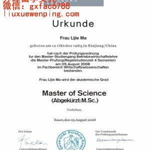 德国埃森综合大学文凭