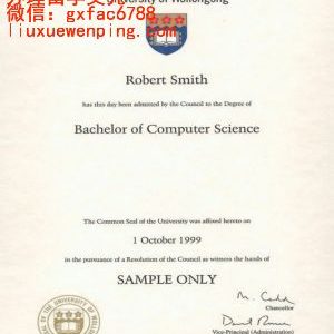 澳大利亚卧龙岗大学学士