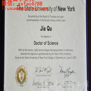美国纽约州立大学博士学位