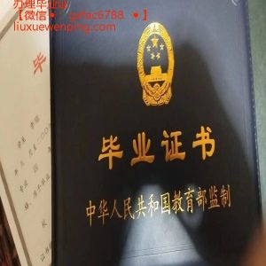 办理毕业证