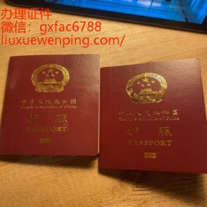 护照
