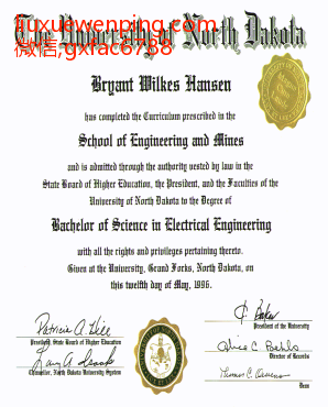 美国北达科它大学文凭