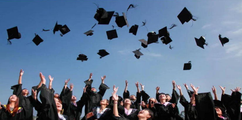 课程选择和学习