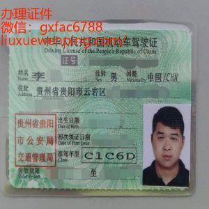 办理驾驶照