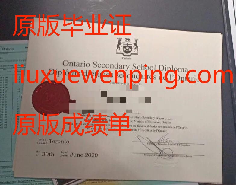 办理重庆本科毕业证