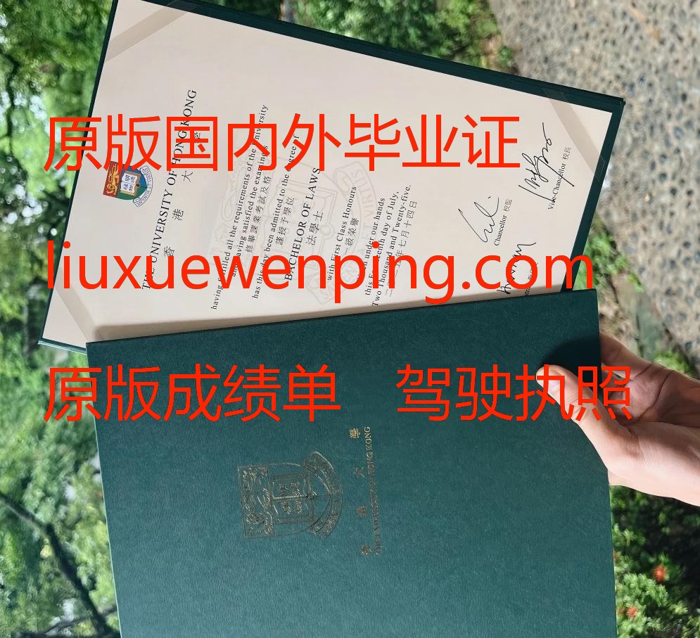 办罗切斯特大学毕业证