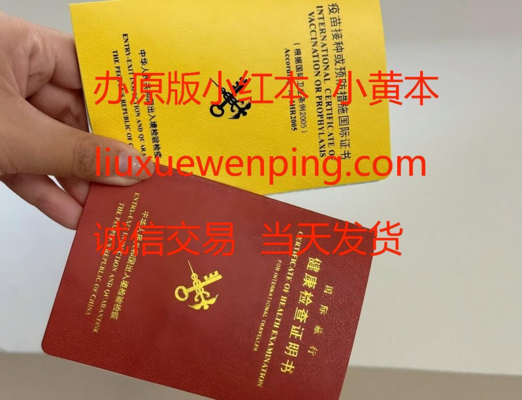 办国际旅行健康检查证明书